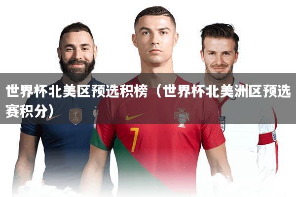 世界杯北美区预选积榜（世界杯北美洲区预选赛积分）